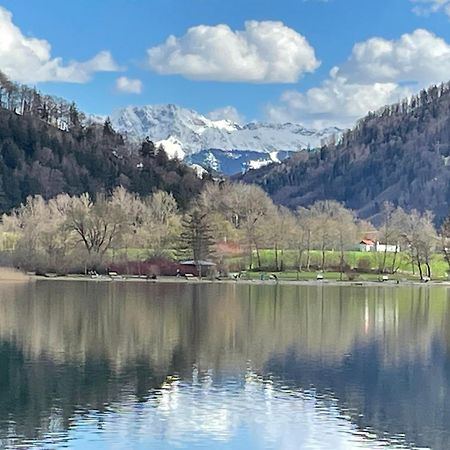 Ferienwohnungen Mews Immenstadt im Allgäu エクステリア 写真