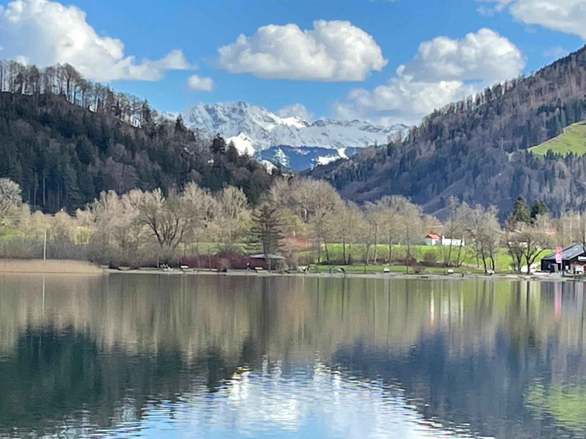Ferienwohnungen Mews Immenstadt im Allgäu エクステリア 写真